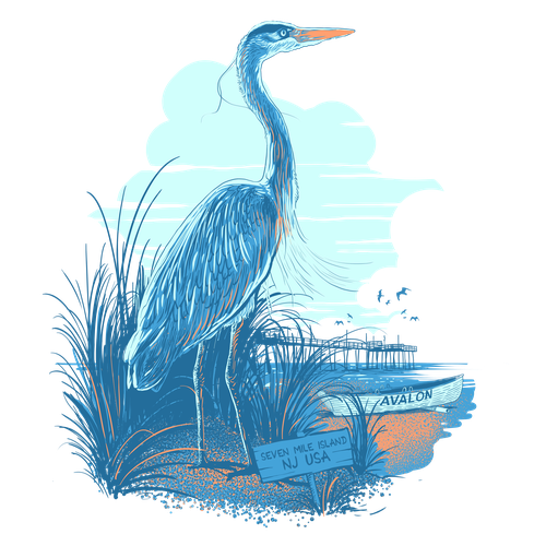 Scene design with the title 'blue heron for seashore outfitters'