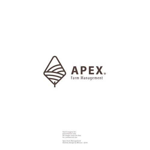 Land design with the title 'APEX \ Brand Logo'