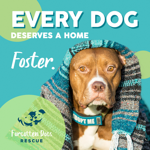 Instagram ad design with the title 'Facebook Instagram Ad'