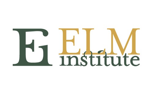 Type design with the title 'Create sophisticated logo for new elite university institute named ElmInstitute'