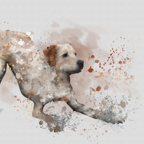 Watercolor illustration with the title 'Mirro dog illustration B'