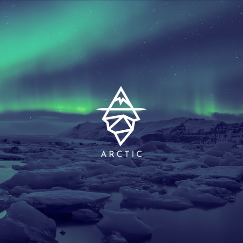 Polygon logo with the title 'Arctic logo design'
