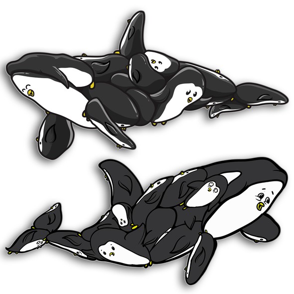 Orca design with the title 'orca penguins'