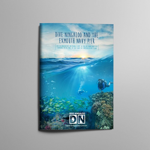 Diving design with the title 'Dive'