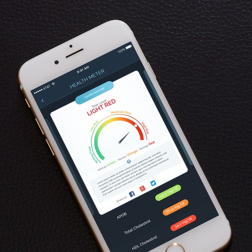 Score design with the title 'Health Meter Concept'