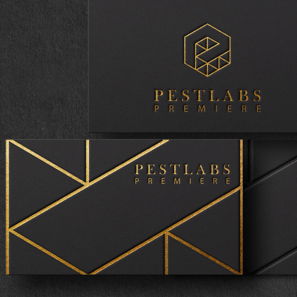 Hidden design with the title 'Cool Logo and Business Card Design for Premium Brand'