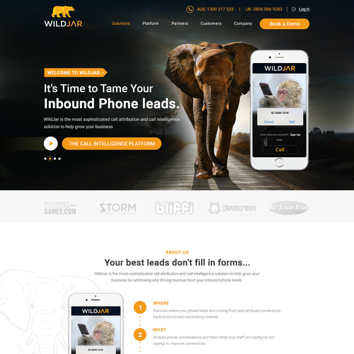 Internet website with the title 'WildJar - Website Design'