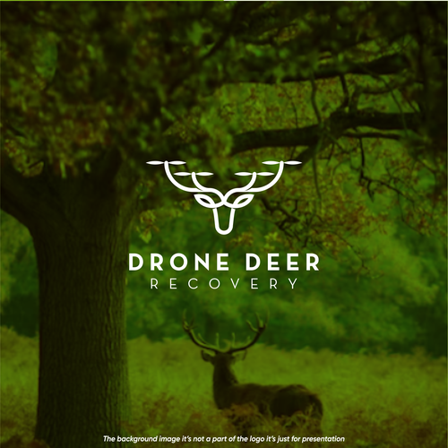Fly design with the title 'Drone Deer'