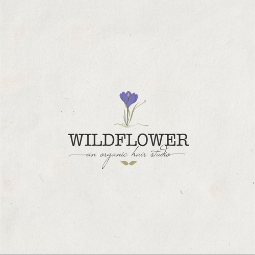 Realistic logo with the title 'Rebranding an organic beauty hair studio'