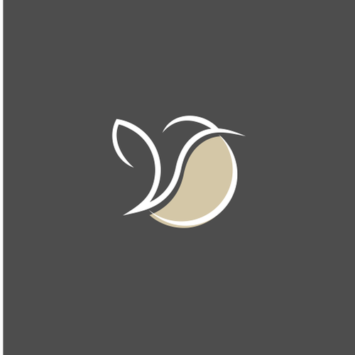 Hummingbird logo with the title 'colibri coffe'