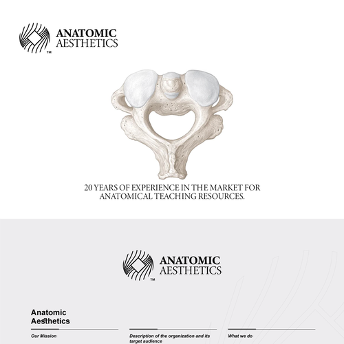 Anatomy logo with the title 'Anatomic Aesthetics'