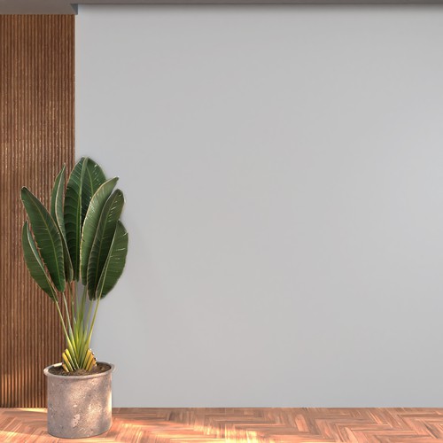 Plant illustration with the title 'Inspire Furniture Paint'