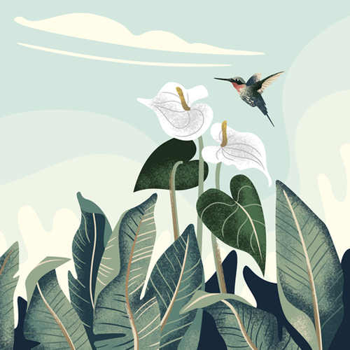 Cactus artwork with the title 'Sunday Morning'