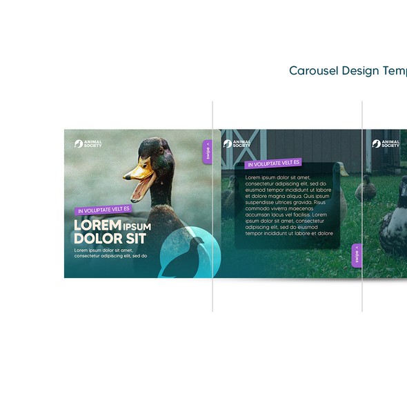 Feed design with the title 'Template design carousel'