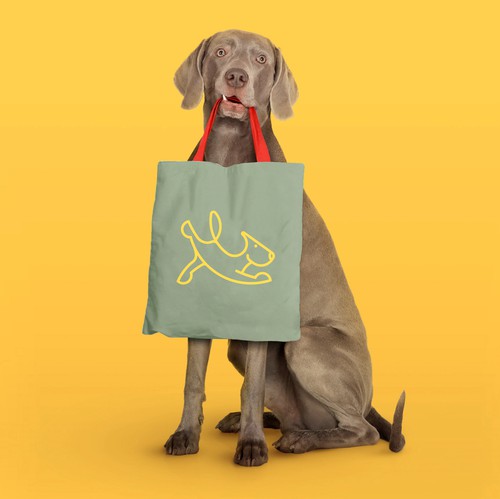 Pet shop design with the title 'Pet Brand Identity'