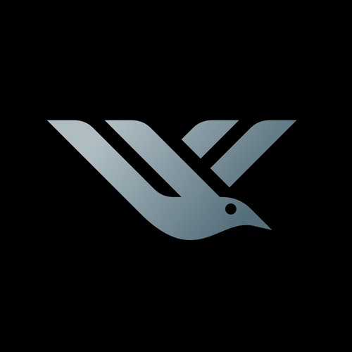 V design with the title 'Bird + Letter V'
