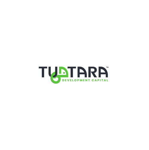 Lizard design with the title 'Tuatara Development Capital - Memorable and Bold Logo '