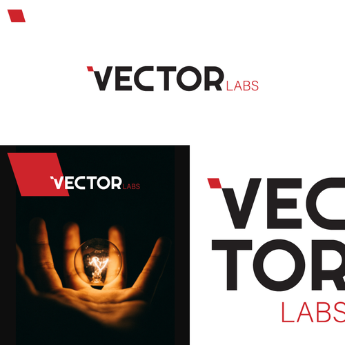 Check design with the title 'Logo Design Proposal for  VECTOR LABS'