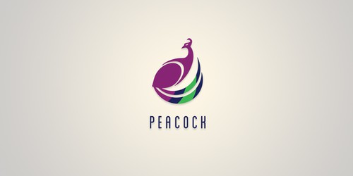Beautiful logo with the title 'PEACOCK design'