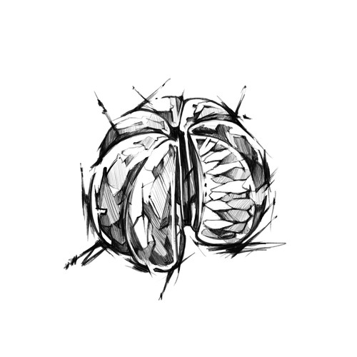 Expressive design with the title 'Mandarin Fruit Tattoo'