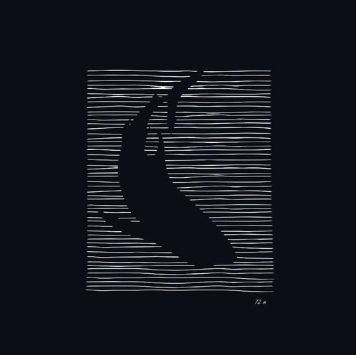 Design with the title 'SHARK!'