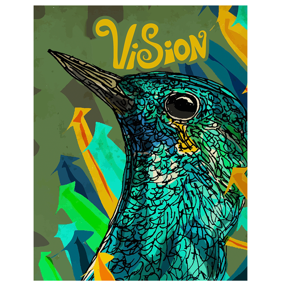 Bird illustration with the title 'Bird Vision'