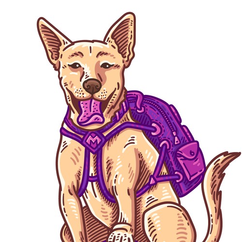 Academy logo with the title 'Manderville Canine Academy'