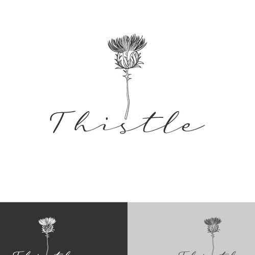 Botanical logo with the title 'Thistle'