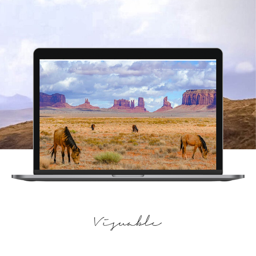 Search engine design with the title 'Photographer '