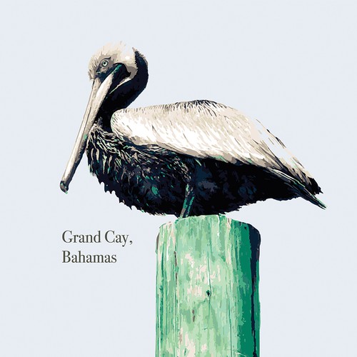 Pelican design with the title 'Grand Cay Bahamas'