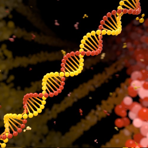 3D illustration with the title '3d DNA'