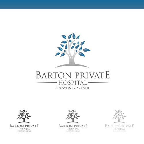 Hospital logo with the title 'Logo Concept for Barton Private Hospital'