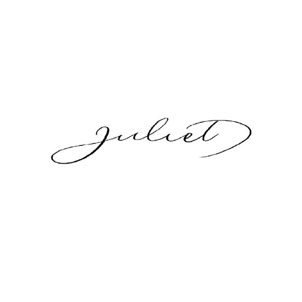 Minimal, hand lettered logo design for lingerie brand