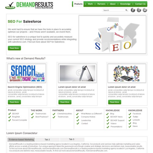 website design for DemandResults Diseño de N-Company