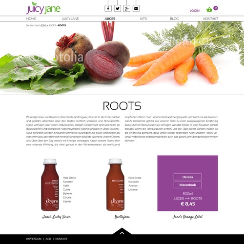 WordPress theme design contest entry by Designer SE15