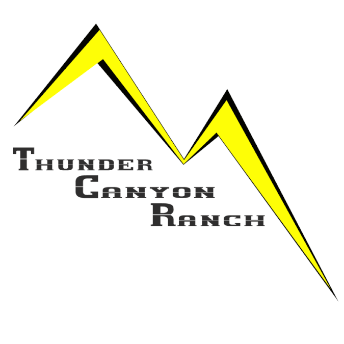 Thunder Canyon Ranch | Concours: Création de logo