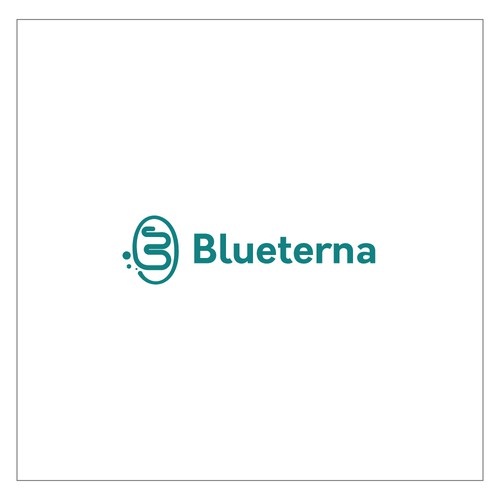Blueterna Branding contest Design by ShiipArt ✅
