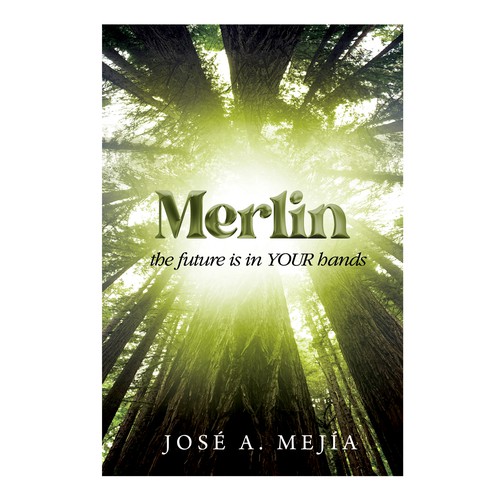 Book Cover Design for a  Personal Development Book Design by TRIWIDYATMAKA