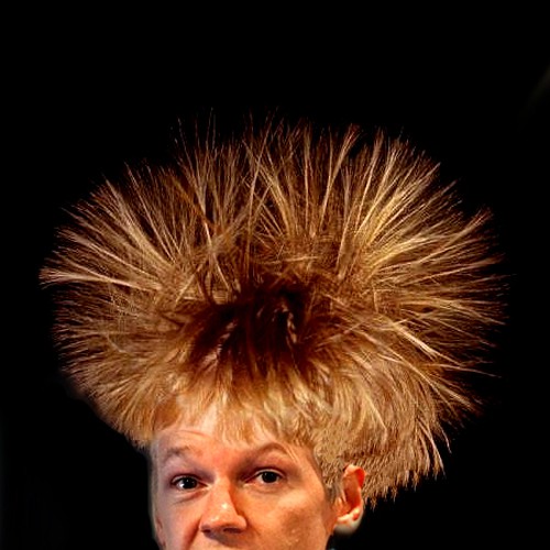 Design the next great hair style for Julian Assange (Wikileaks) Design by Isabels Designs