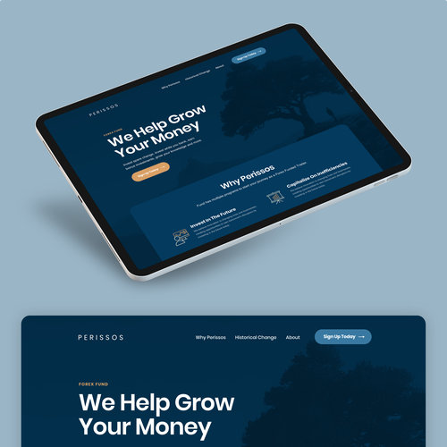 Landing page design contest entry by Alex Capellan.