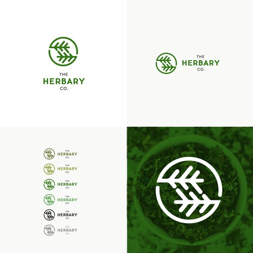 Design a modern logo for a dispensary Design von Redsoul™