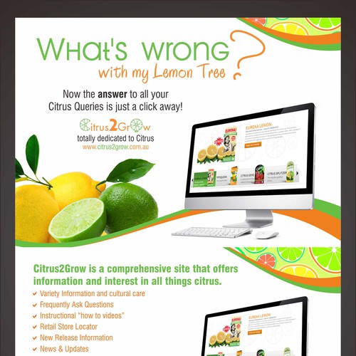 Citrus Site needs eye catching Promotional Post Card with zest and zing Design by Gugun Guntoro