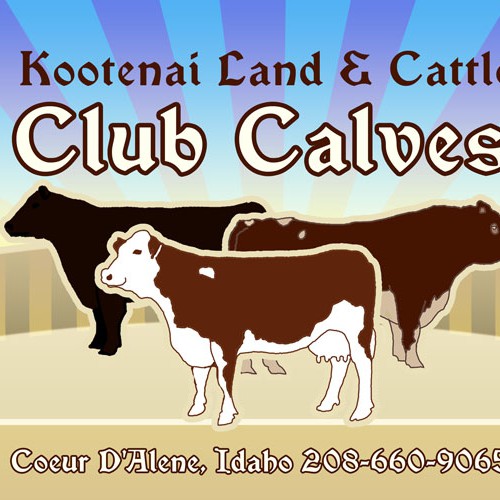 Kootenai Club Calves