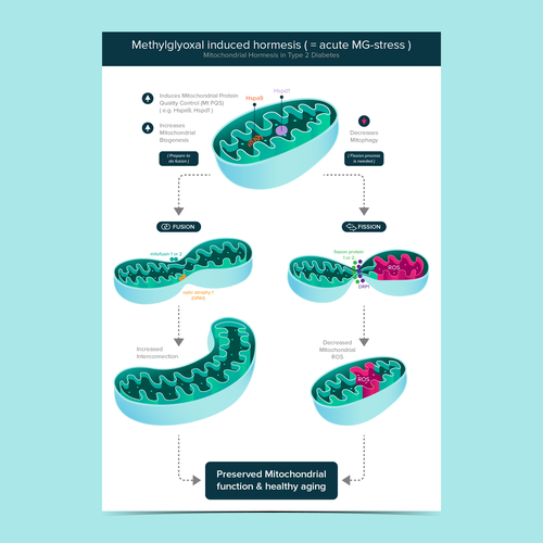 Designs | Cell illustration for metabolic programming | Infographic contest