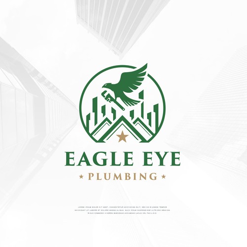 Eye catching and very marketable logo for plumbing company. The company name is Eagle Eye Plumbing Design by Dr. Paradox