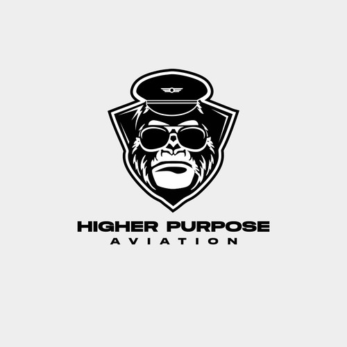 Higher Purpose Aviation Design by Rockzdezgn™