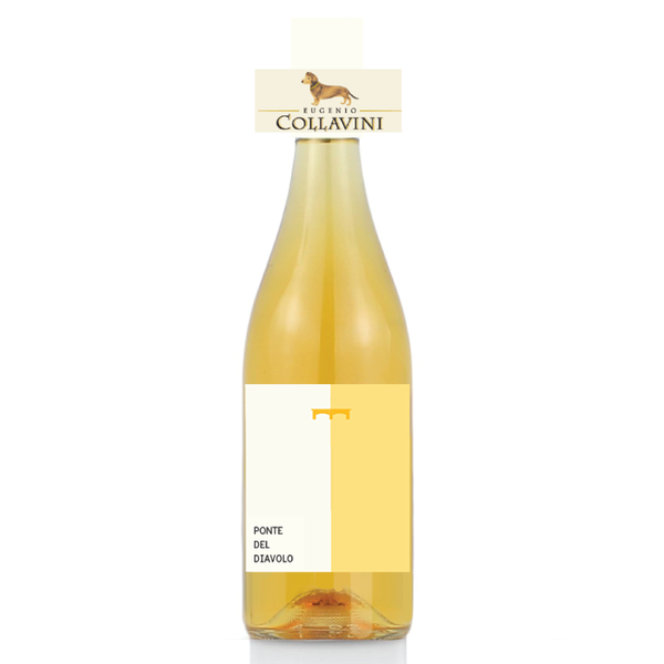 modern, distinctive, minimal wine label concept