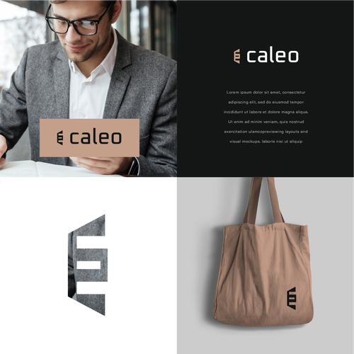 Logo design contest entry by casign