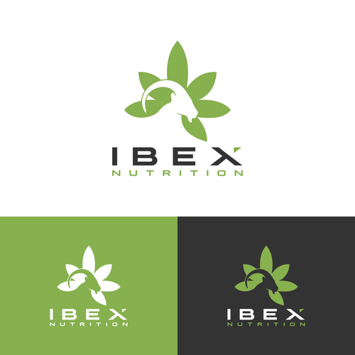 iBEX Nutrition Design by muuter