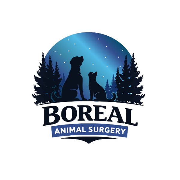 Boreal Animal Surgery Logo Concept